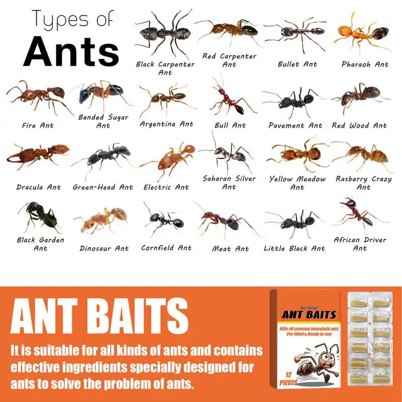 12PCS Safe Ant Bait Traps – Pet-Friendly & Multi-Use for Home & Garden