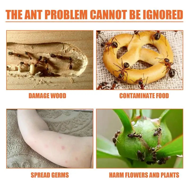12PCS Safe Ant Bait Traps – Pet-Friendly & Multi-Use for Home & Garden